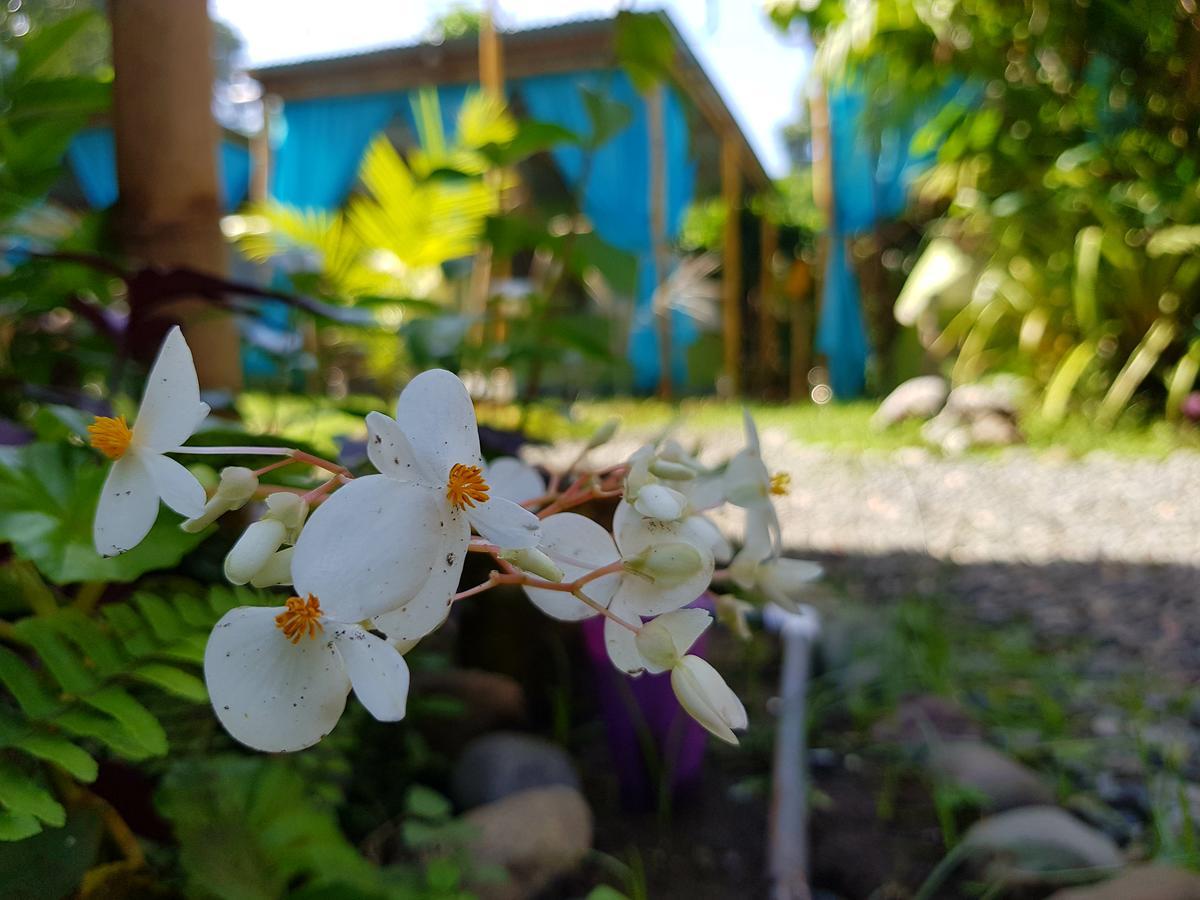 Camping Rooms Shalton Cahuita Habitación foto