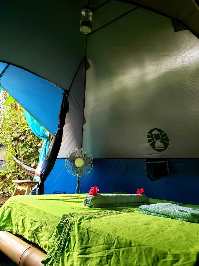 Camping Rooms Shalton Cahuita Exterior foto